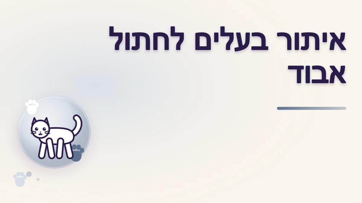 מצאתי חתול שנראה אבוד: איך מאתרים בעלים