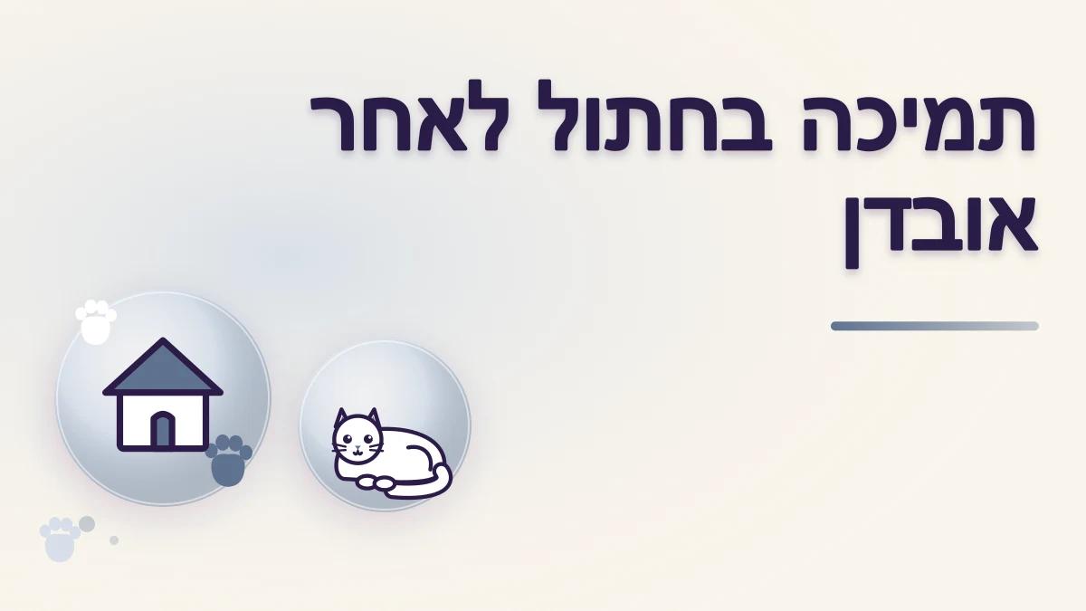 איך תומכים בחתול אחרי אובדן של בן בית או חתול אחר