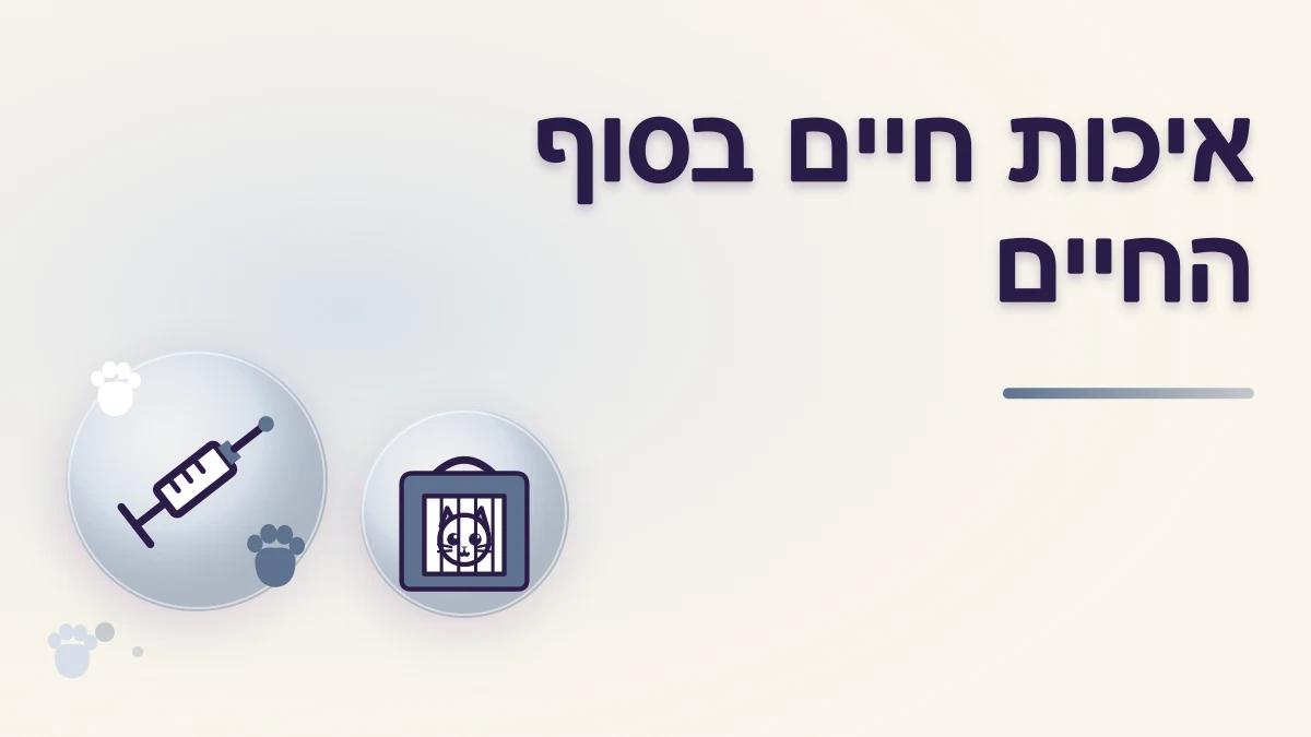שאלות לשיחה עם וטרינר על איכות חיים בסוף החיים