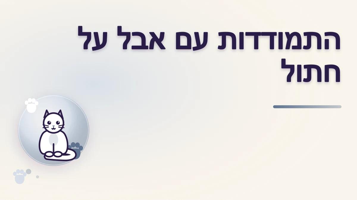 אבל אחרי פרידה מחתול: איך נותנים מקום לחוויה