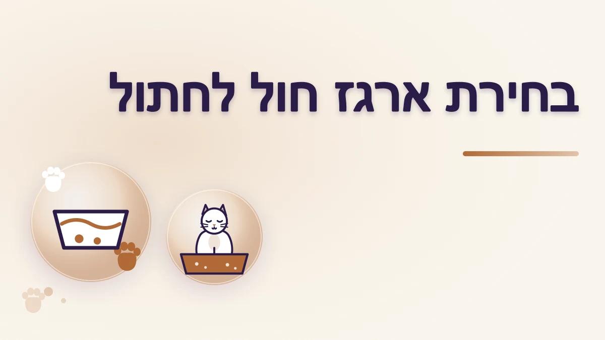 איך בוחרים ארגז חול בגודל ובמבנה מתאימים