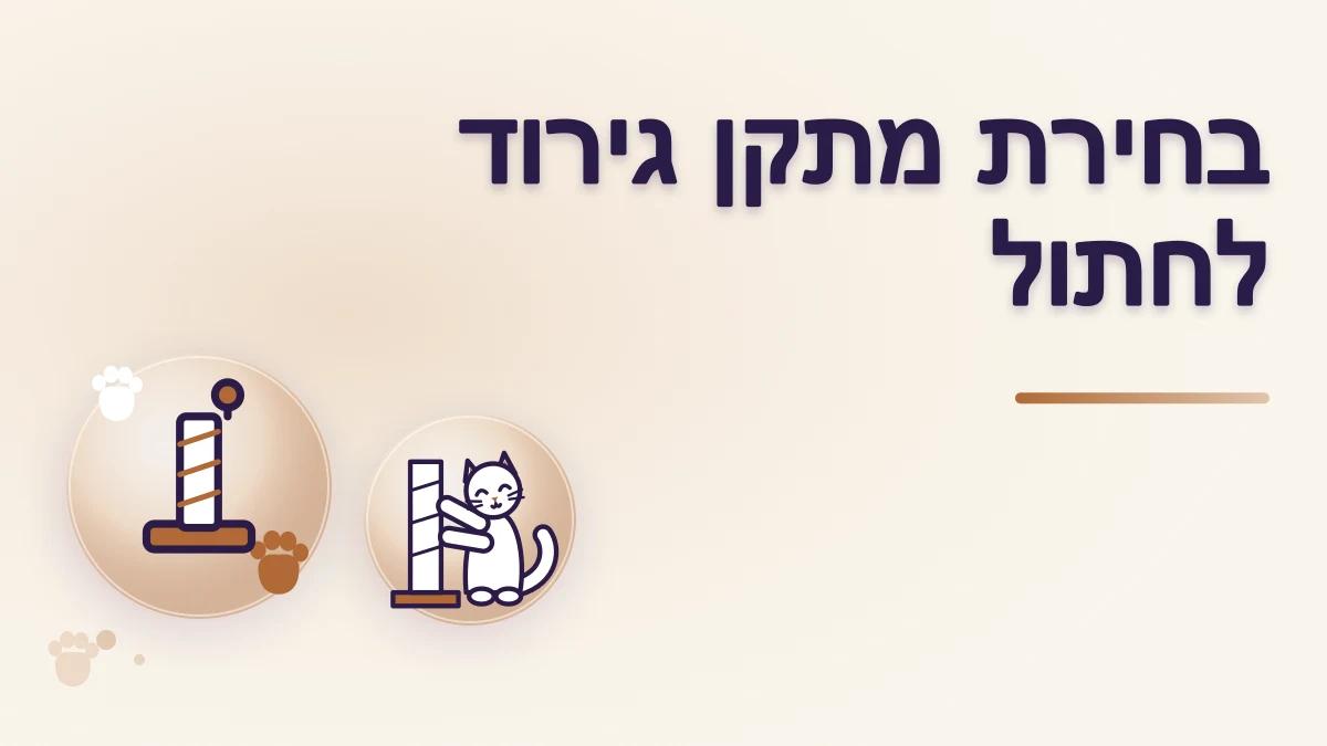 מתקן גירוד לחתול: איך בוחרים ואיפה מציבים