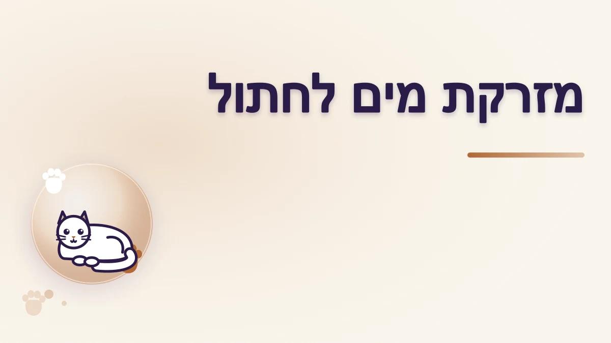 מזרקה לחתול: יתרונות, חסרונות ותחזוקה