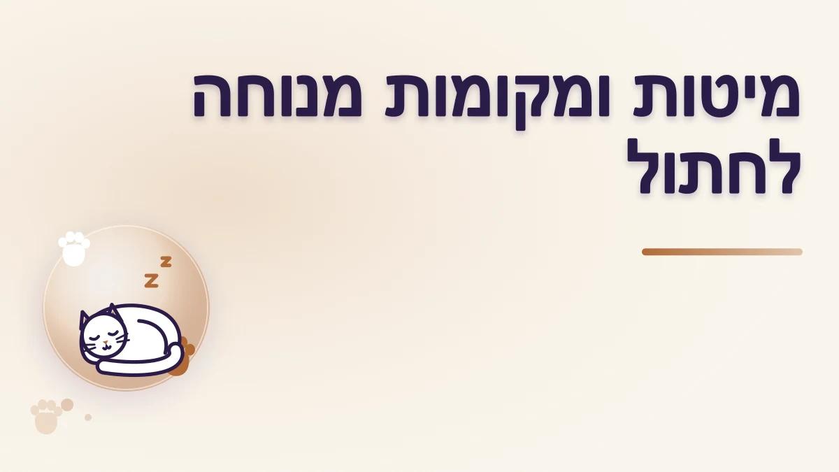 מיטות ומקומות מנוחה לחתולים: מה באמת שימושי