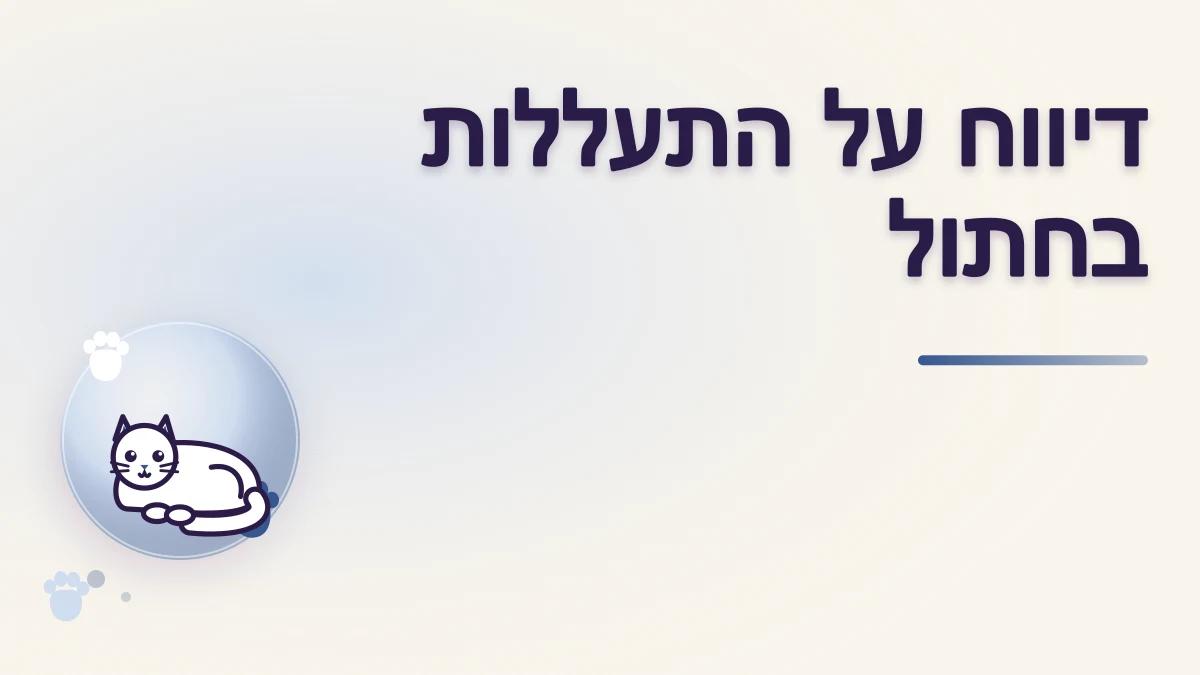 מה עושים כשנתקלים בחשד להתעללות בחתול בישראל