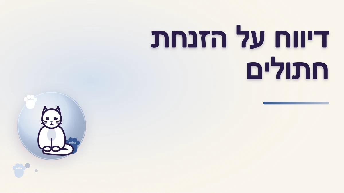 למי מדווחים על הזנחת חתולים