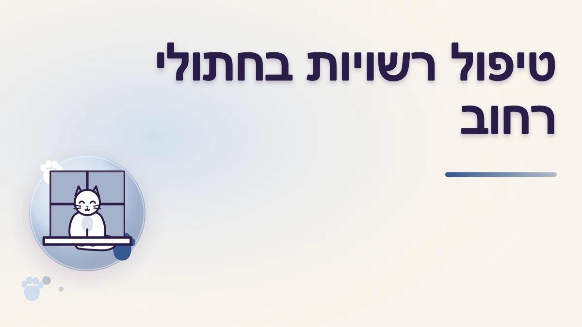 חתולי רחוב בישראל: אילו רשויות מטפלות באילו מקרים