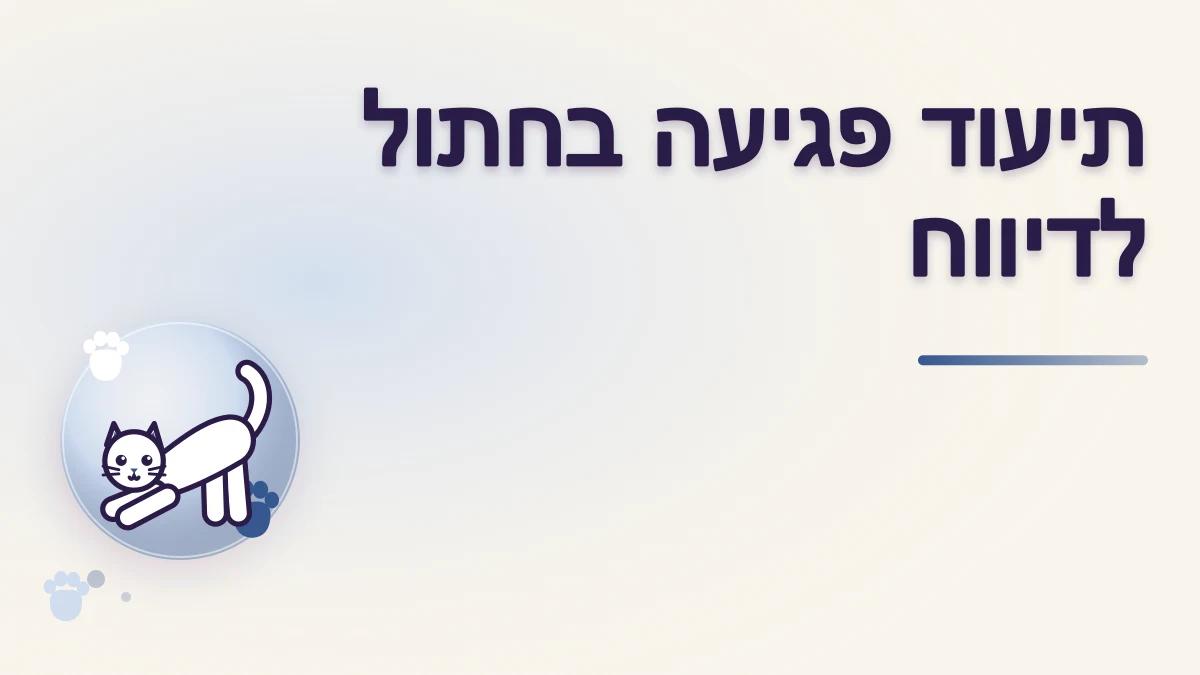 איך מתעדים אירוע פגיעה בחתול לצורך דיווח