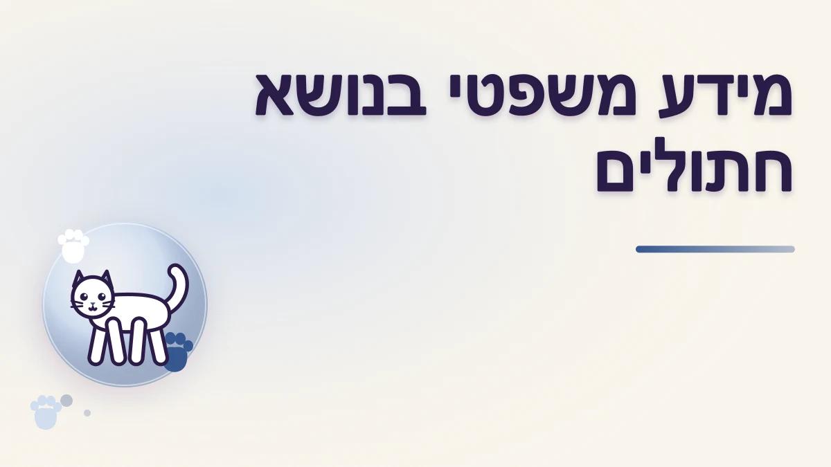 איך בודקים מידע משפטי עדכני בנושא חתולים בישראל